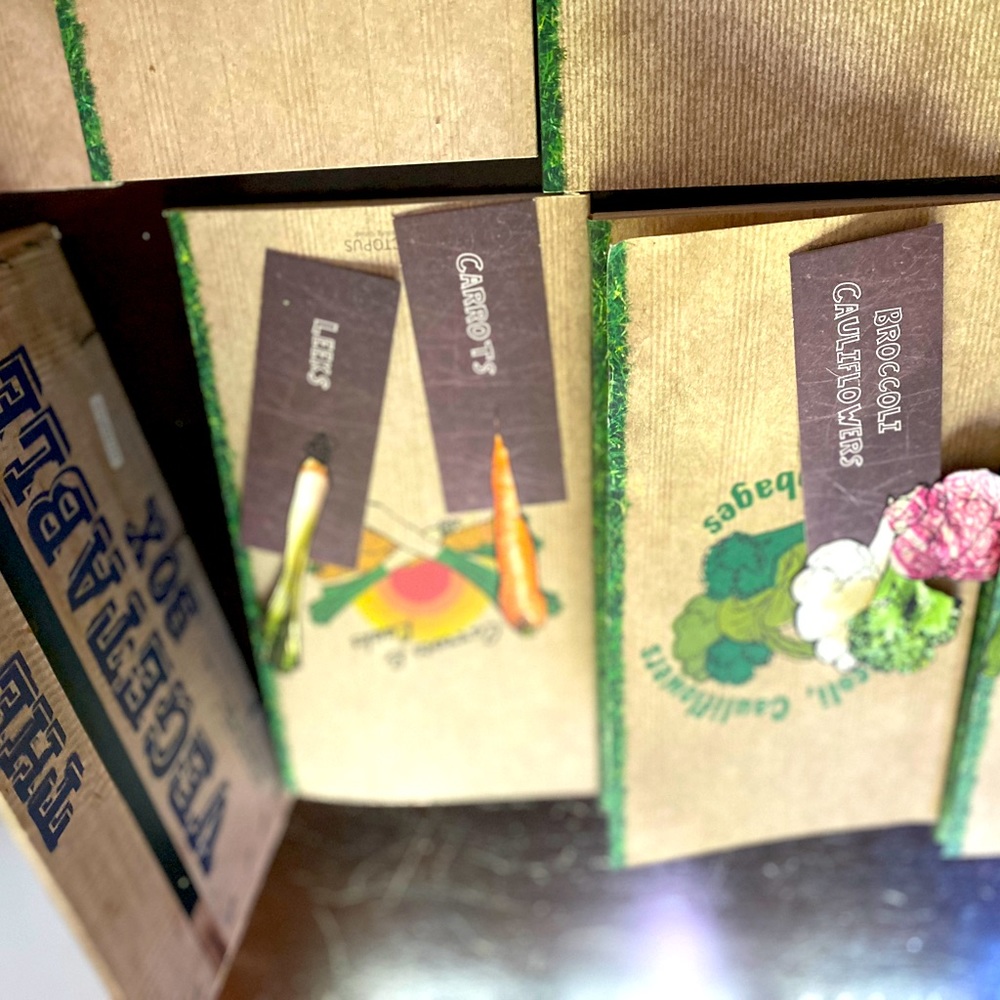 The Vegetable Box Cookbook - Picture 9 of 15